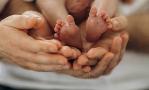 Pauline BARBAUT - BARBAUT PAULINE