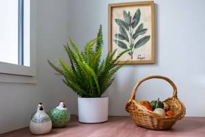 Philippe LATOUR - PHILIPPE LATOUR