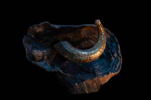 Pablo BAILLEUL - Bailleul